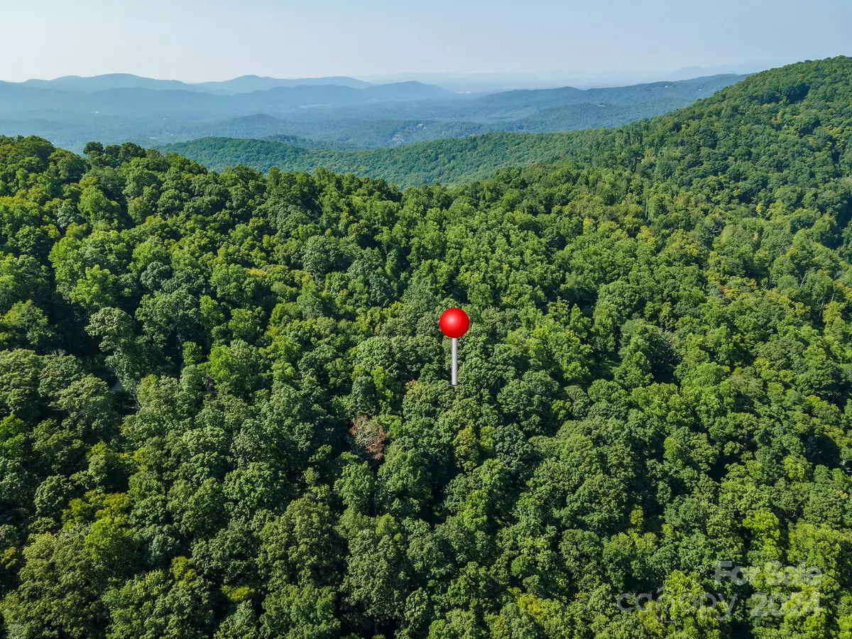 Swannanoa, NC 28778,00000 Bailey RD