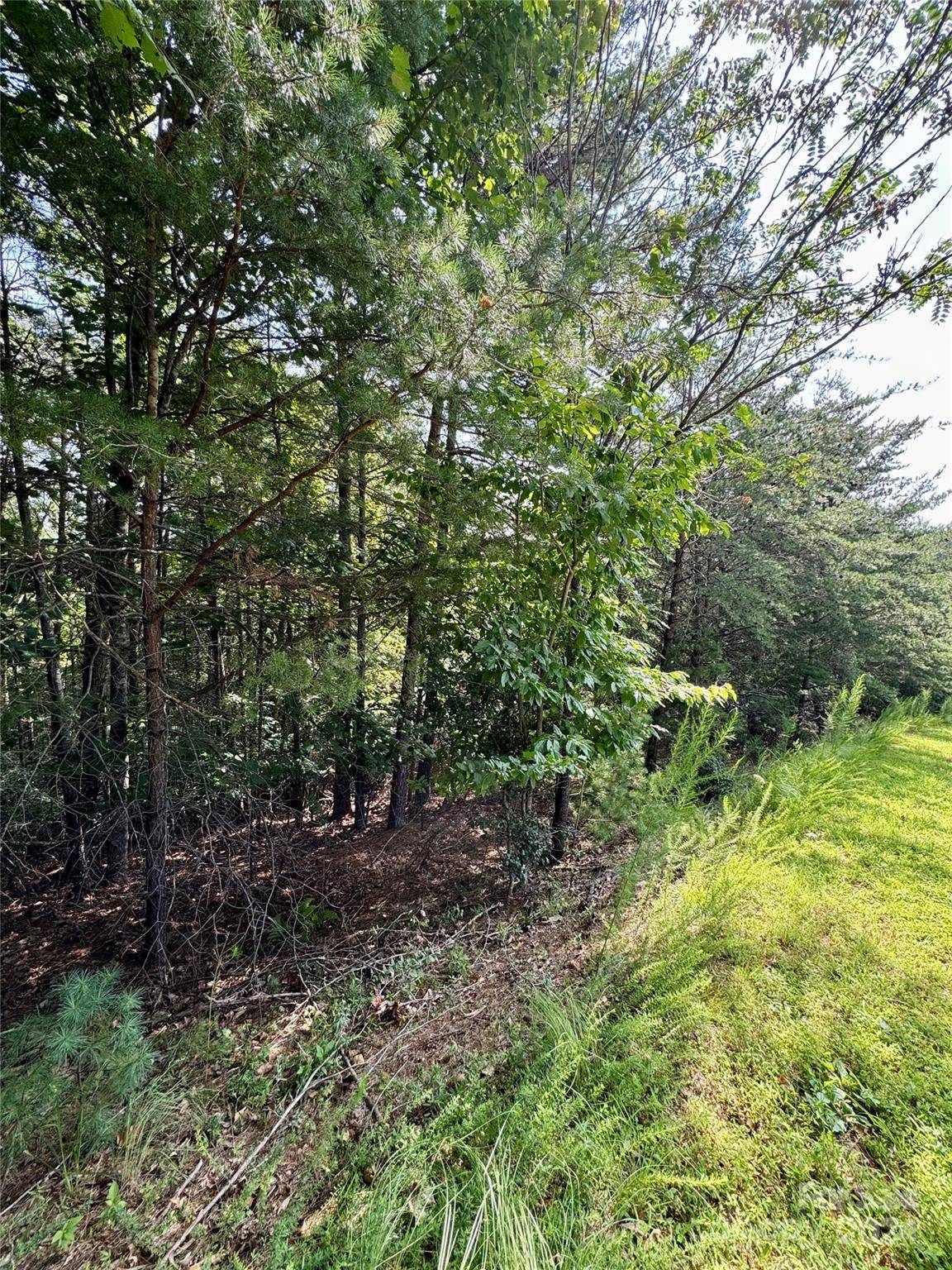 Nebo, NC 28761,151 Cedar Ridge DR #42
