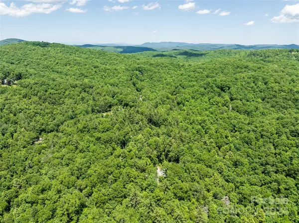 78 Smiling Fox TRL, Brevard, NC 28712