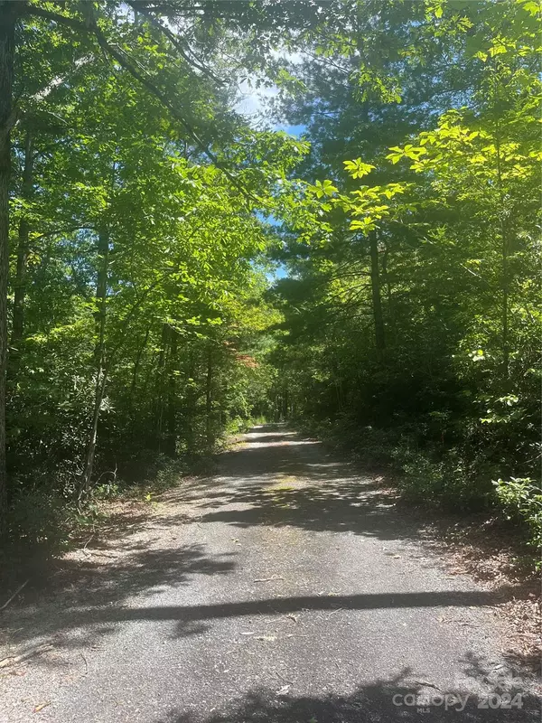 Lake Lure, NC 28746,0 Mintwood CT #11