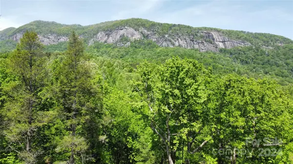 Lake Lure, NC 28746,0 Mintwood CT #11