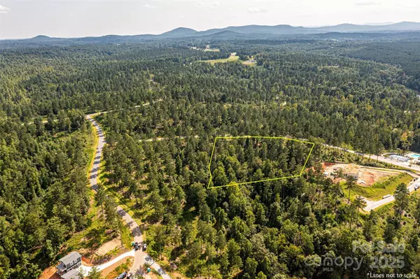 Connelly Springs, NC 28612,3112 Belford TRL #165