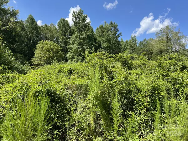 Albemarle, NC 28001,00 Hastings DR