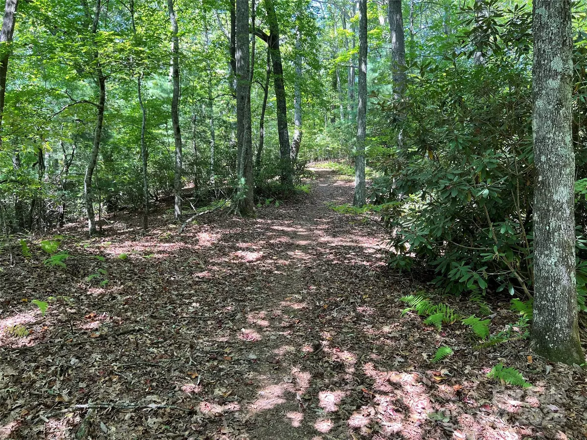 Pisgah Forest, NC 28768,000 Open Ridge TRL #30