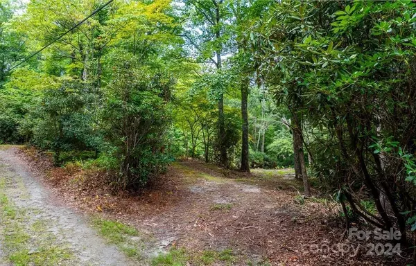 Lake Toxaway, NC 28747,246 C Harrison Hall RD #Tract A