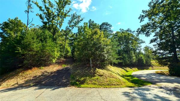 314 Willow Top LN, Lake Lure, NC 28746