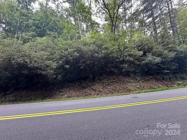 Pisgah Forest, NC 28768,TBD Lot 6 Williamson Creek RD