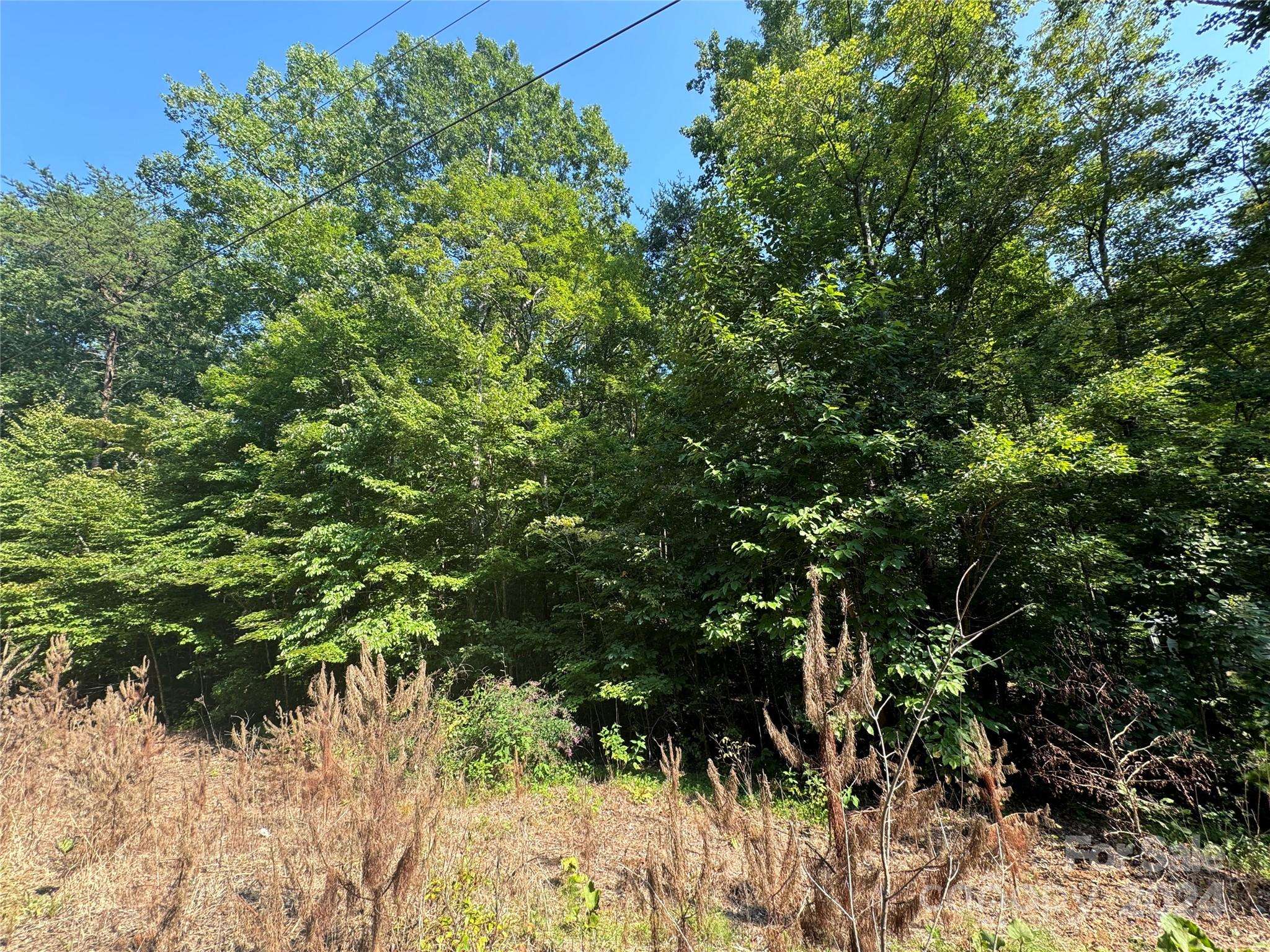 0 Deer Creek DR, Connelly Springs, NC 28612