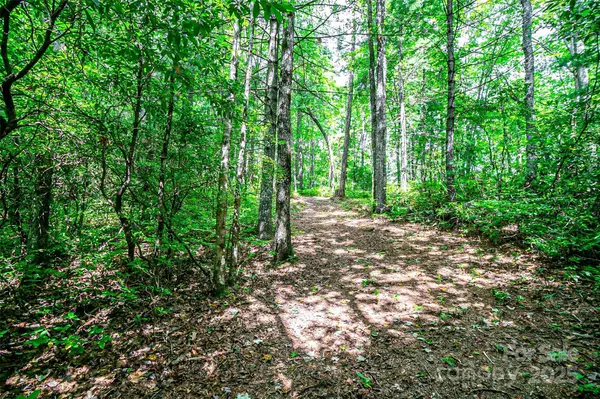 Brevard, NC 28712,TBD Big Branch RD