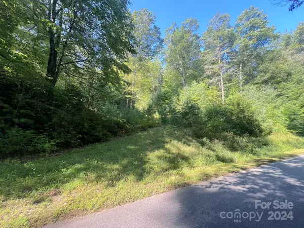 Lake Toxaway, NC 28747,TBD Kitchen Loop RD