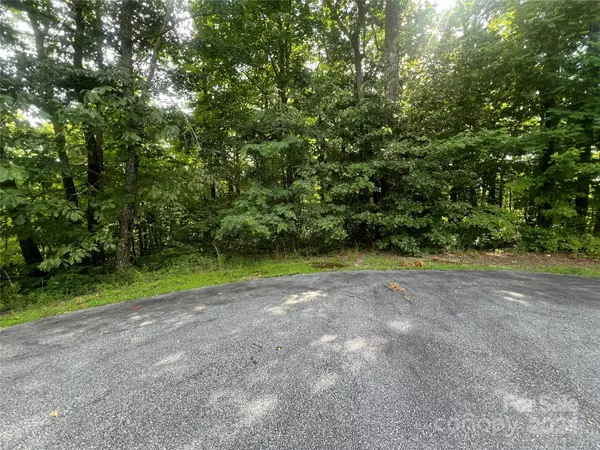 Brevard, NC 28712,000 Laurel Thicket LN