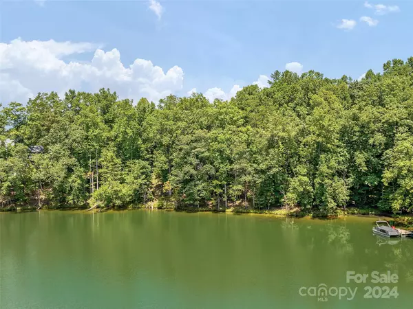 Mill Spring, NC 28756,00 Deer Run CT #12