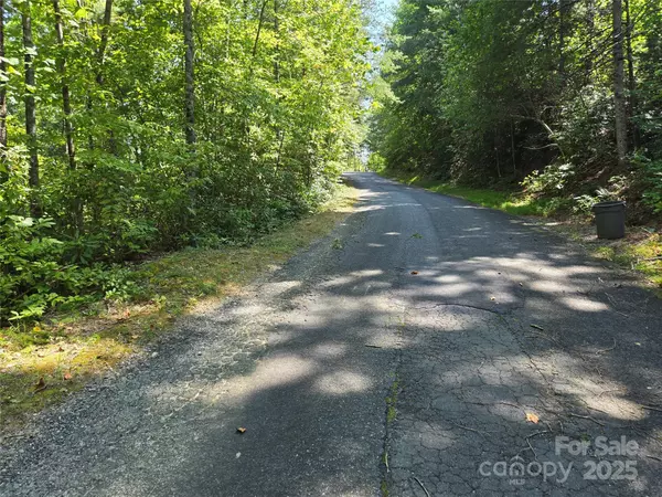 Lot 14 Rumbling Bald RD, Lake Lure, NC 28746