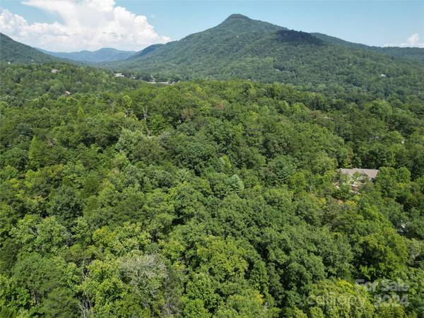 Lake Lure, NC 28746,Lot 14 Rumbling Bald RD