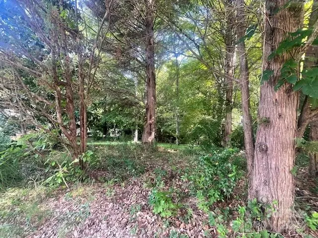 Charlotte, NC 28262,11206 Mallard Crossing DR