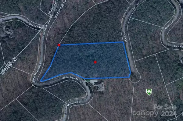 Zirconia, NC 28790,Lot 25 Panther Mountain RD #CVN-CVN-025