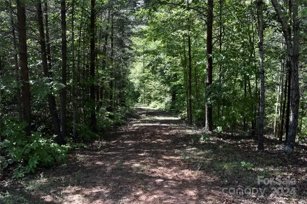 Mill Spring, NC 28756,0 Ostin Creek TRL #Lot 2 F-3 S.1