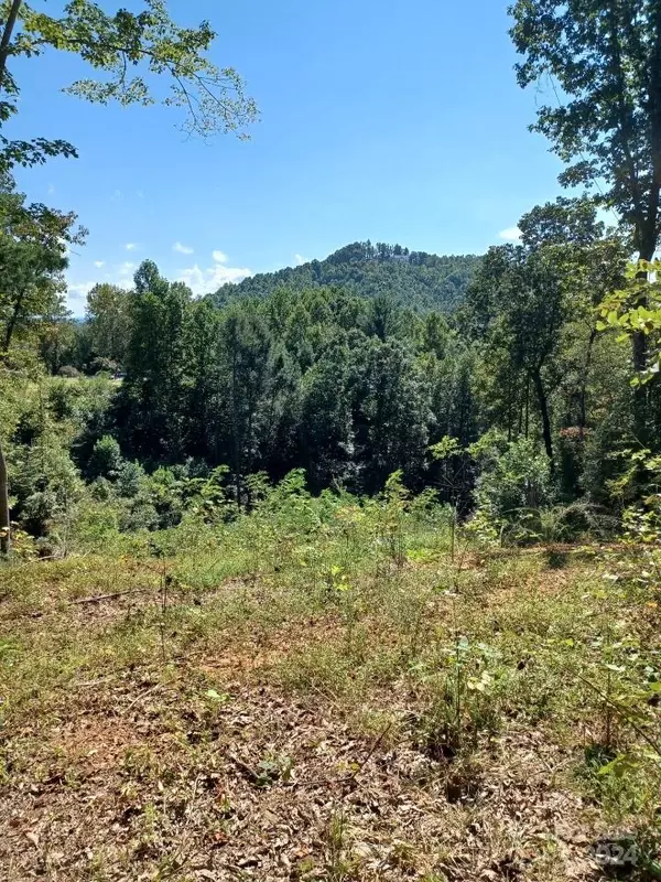 Lenoir, NC 28645,Lot 516 White Oak WAY