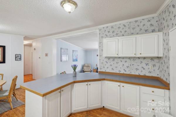 Balsam Grove, NC 28708,3152 Tanasee Gap RD