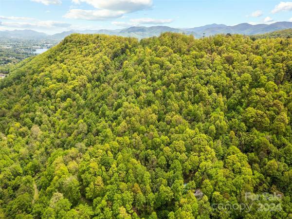 00 Locust TRL, Waynesville, NC 28785