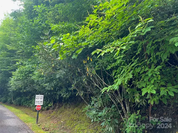 Maggie Valley, NC 28751,0000 Eagle Roost RD