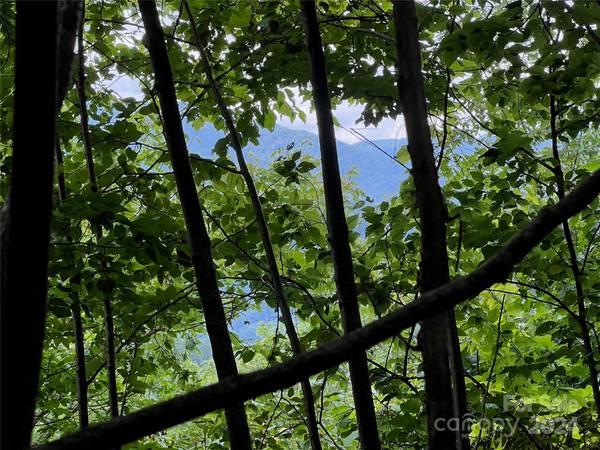 Maggie Valley, NC 28751,0000 Eagle Roost RD