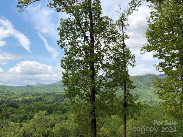 0 High Rock RDG #Lot 22, Lake Lure, NC 28746