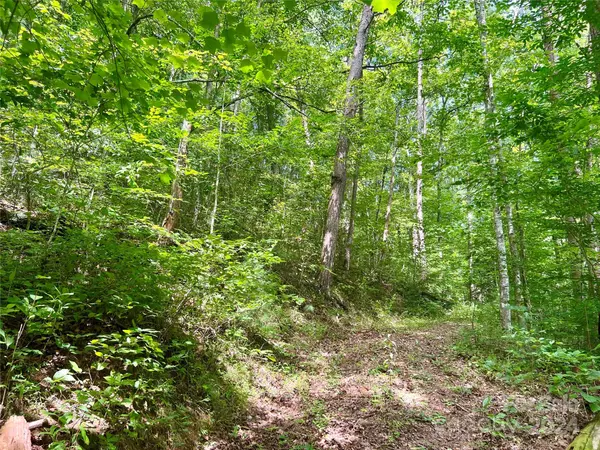 Murphy, NC 28906,377 Jake Taylor RD