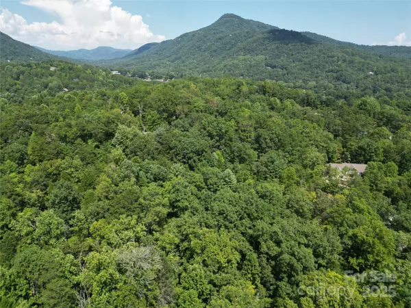 Lake Lure, NC 28746,Lot 167 & 170 Deerfield DR
