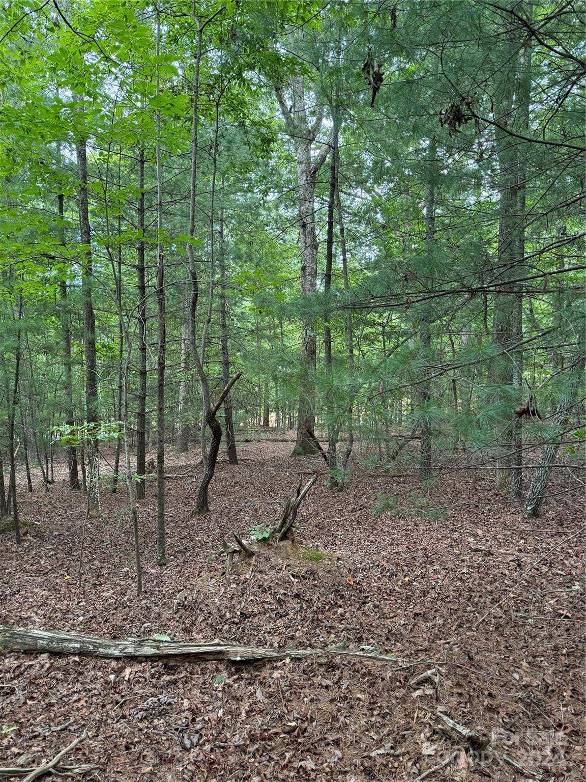 Connelly Springs, NC 28612,4705 Warlick Chapel RD
