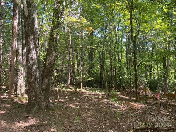 0 Quail Ridge RD, Lake Lure, NC 28746