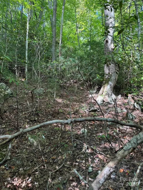 Marshall, NC 28753,TBD Cutshall Town RD