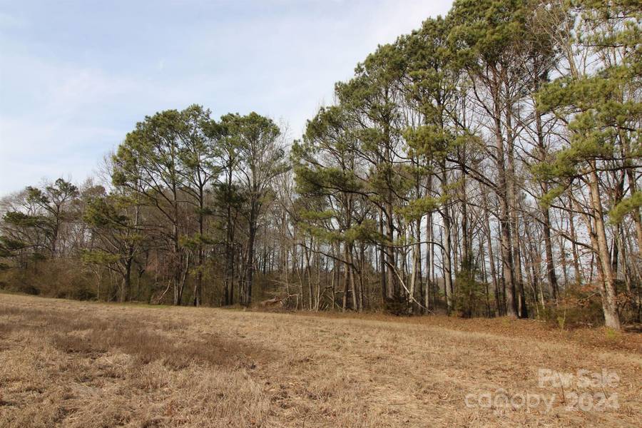 17+/- AC Quinn RD, Chester, SC 29706