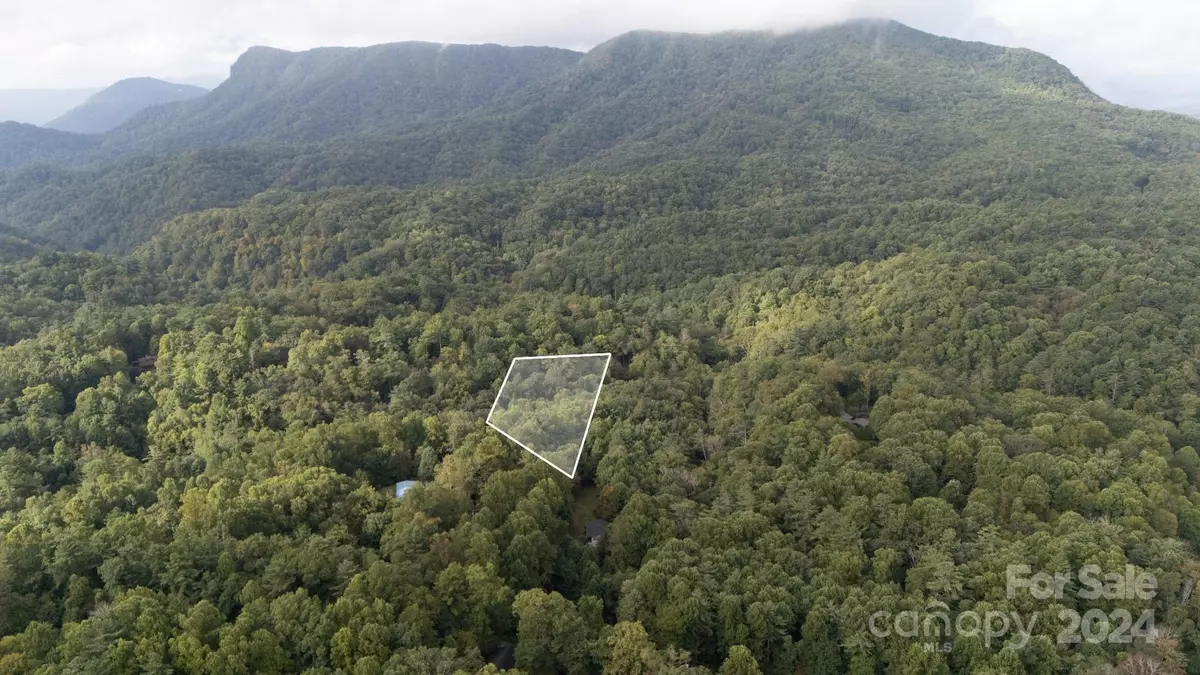 Linville Falls, NC 28657,0000 Loggers LN