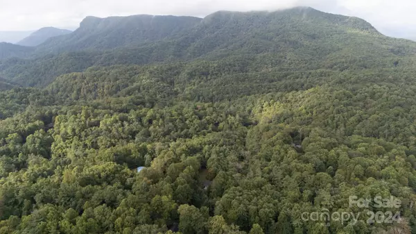 Linville Falls, NC 28657,0000 Loggers LN