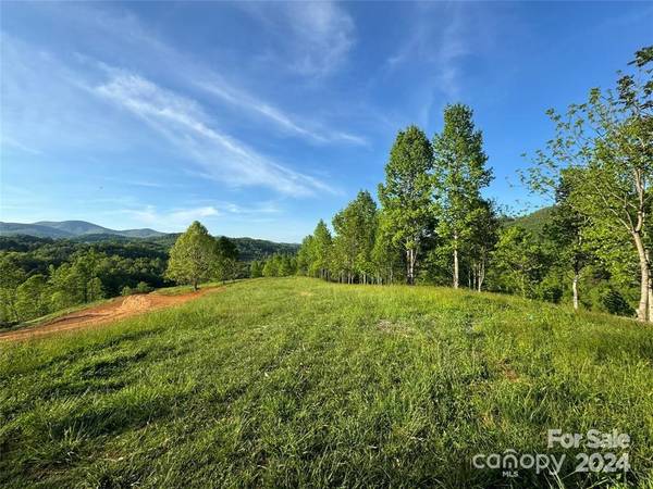 TBD Waterfall Ridge DR #Farm Tract 2, Hendersonville, NC 28792