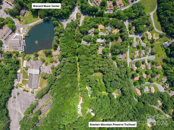 Brevard, NC 28712,000 Club House CT #Lot #2