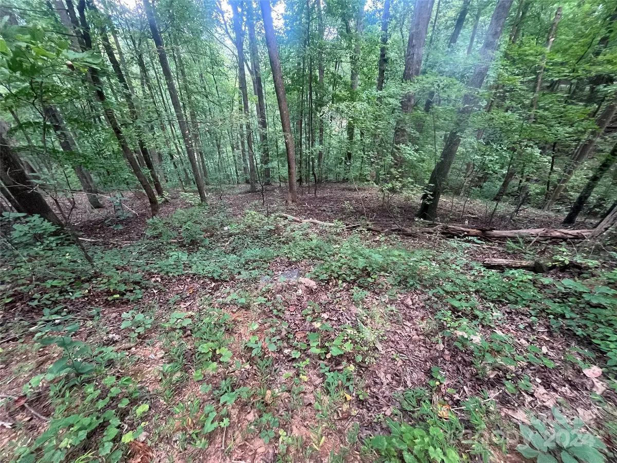 Lake Lure, NC 28746,0 Luther Burbank DR