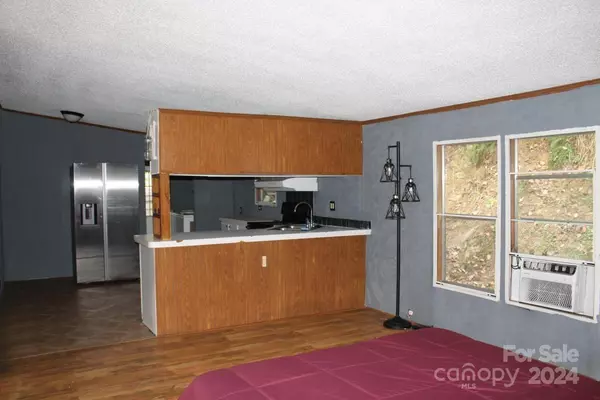 Waynesville, NC 28786,280 Lightning Bug LN