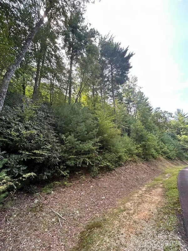 Brevard, NC 28712,TBD Peppervine CIR #83