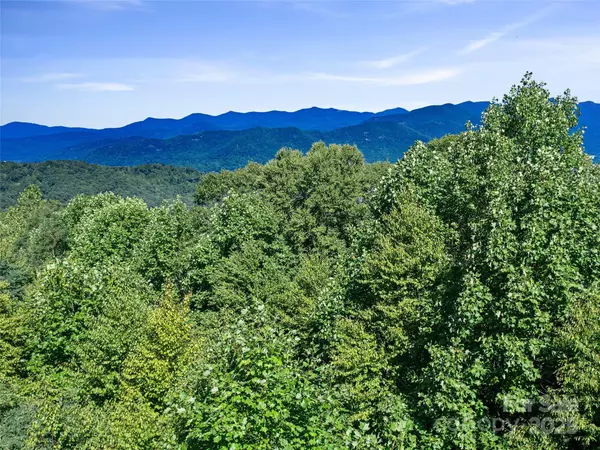 Swannanoa, NC 28778,58 Mountain Azalea DR