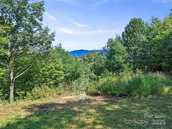 4.8 Acres Mountain Lily Ridge DR, Swannanoa, NC 28778