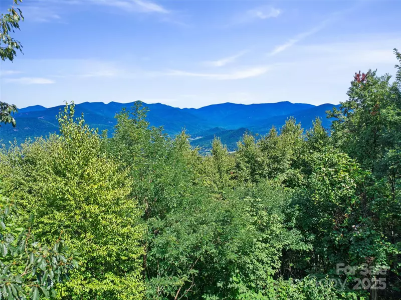 4.8 Acres Mountain Lily Ridge DR, Swannanoa, NC 28778