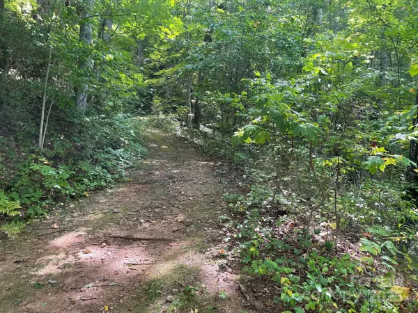 Sylva, NC 28779,Lt 176 E Reach RD #176