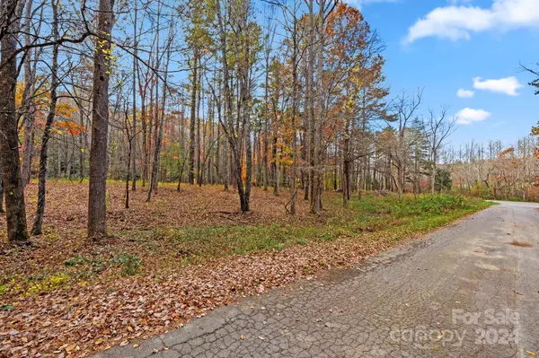 Fairview, NC 28730,3 Shady Brook LN