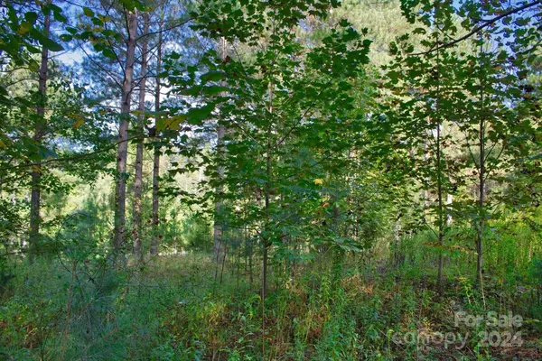 Union Mills, NC 28167,0 Hearthstone DR #100