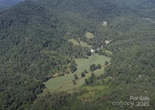 Black Mountain, NC 28711,Address not disclosed