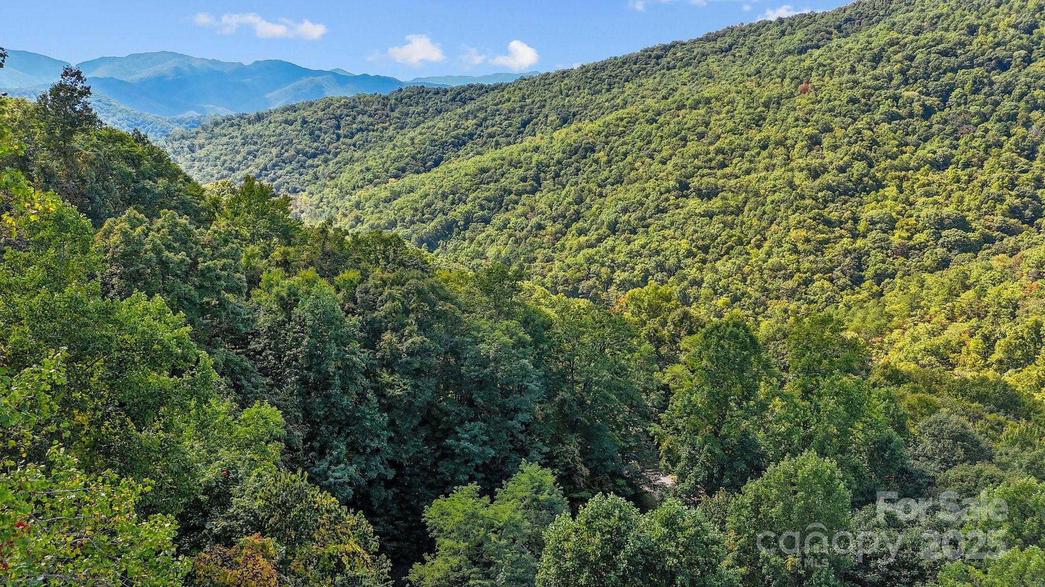 Bryson City, NC 28713,0 Brush Creek Mountain RD #41