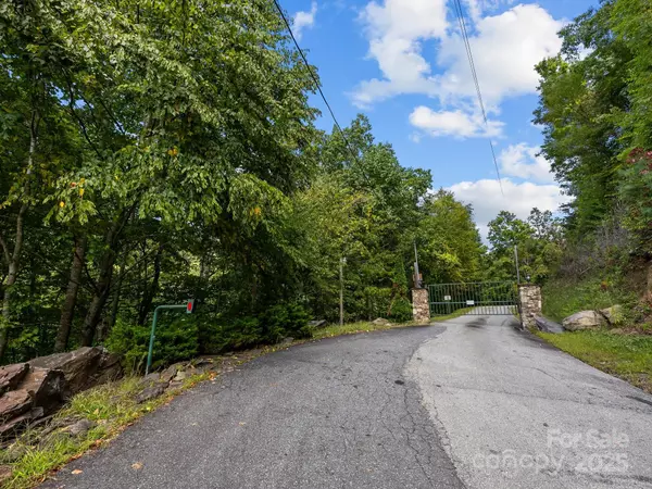 Bryson City, NC 28713,0 Brush Creek Mountain RD #41