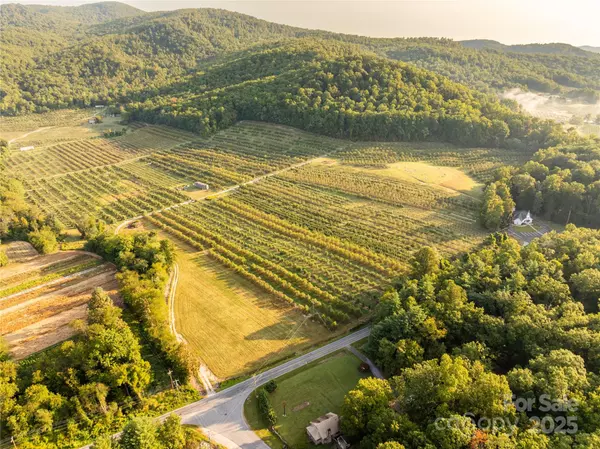 Hendersonville, NC 28792,TBD Old Clear Creek RD